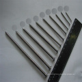 Smooth Shank or Ring Shank Galvanized Common Nails